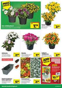 hagebaumarkt Prospekt - Schnapp dir dein Superbundle - Seite 2
