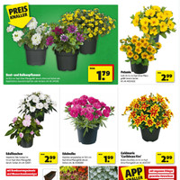 hagebaumarkt Prospekt Seite 2