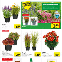 hagebaumarkt Prospekt Seite 3