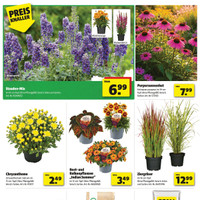 hagebaumarkt Prospekt Seite 2