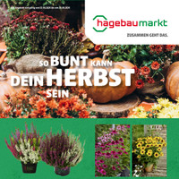 hagebaumarkt Prospekt - Herbstliche Angebote Angebote