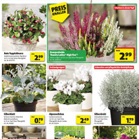 hagebaumarkt Prospekt - Herbstliche Angebote Angebote