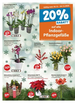 V-Markt Prospekt - Angebote ab 18.12.