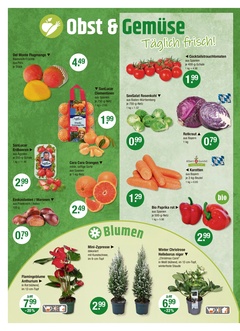 V-Markt Prospekt - Angebote ab 18.12.