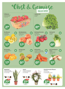 V-Markt Prospekt - Angebote ab 29.01.