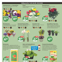 V-Markt Prospekt Seite 20