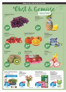 V-Markt Prospekt - Angebote ab 19.03.