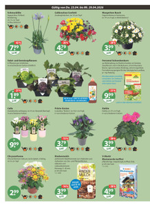 V-Markt Prospekt - Angebote ab 23.04.