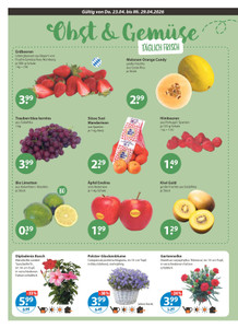 V-Markt Prospekt - Angebote ab 23.04.