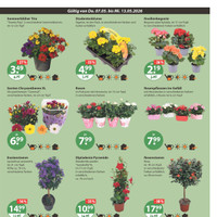 V-Markt Prospekt Seite 15