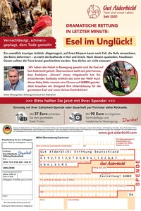 Gut Aiderbichl Prospekt - Angebote ab 21.11.