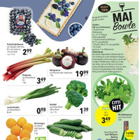 CITTI Markt Prospekt - Wein