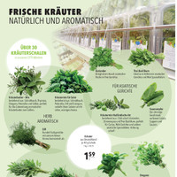 CITTI Markt Prospekt Seite 2