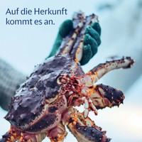 CITTI Markt Prospekt Seite 2