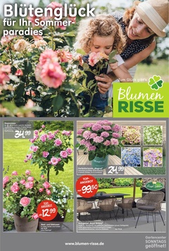 Blumen Risse Prospekt - Angebote ab 23.05.