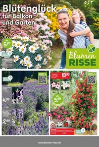 Blumen Risse Prospekt - Blumen Risse EHV