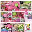Blumen Risse Prospekt Seite 2