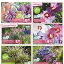 Blumen Risse Prospekt Seite 3