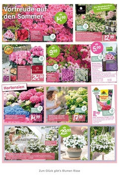 Blumen Risse Prospekt - Angebote ab 29.04.