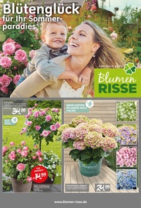 Blumen Risse Prospekt - Blütenglück