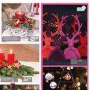 Blumen Risse Prospekt Seite 3