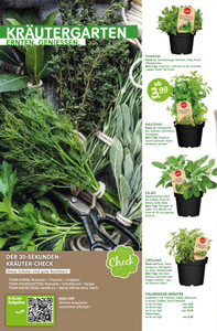 Blumen Risse Prospekt - Blumen Risse GmbH & Co. KG - Seite 2