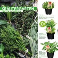 Blumen Risse Prospekt Seite 2