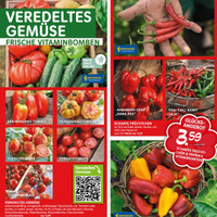 Blumen Risse Prospekt Seite 2