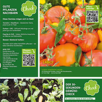 Blumen Risse Prospekt Seite 3