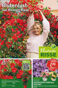 Blumen Risse Prospekt - Blütenlust