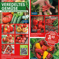 Blumen Risse Prospekt Seite 2