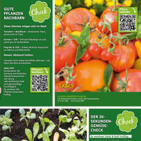 Blumen Risse Prospekt Seite 3