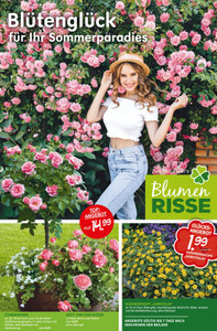 Blumen Risse Prospekt - Blumen Risse EHV