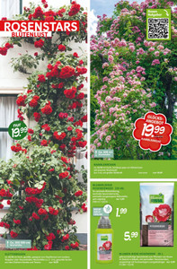 Blumen Risse Prospekt - Angebote ab 28.05. - Seite 2