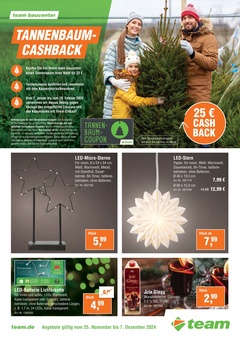 team Baumarkt Prospekt - Tannenbaum-Cashback