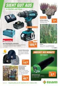 team Baumarkt Prospekt - Sieht gut aus in Garten und Haus