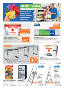 team Baumarkt Prospekt - SEIHT GUT AUS in Garten und Haus - Seite 2