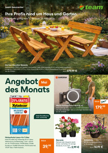 team Baumarkt Prospekt - Ihre Profis rund um Haus und Garten