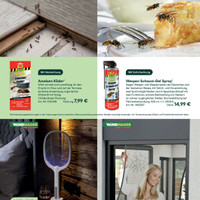 team Baumarkt Prospekt Seite 2