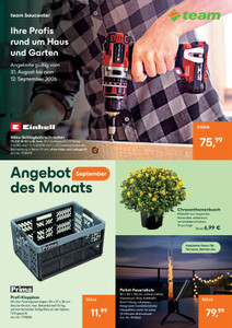 team Baumarkt Prospekt - Ihre Profis rund um Haus und Garten