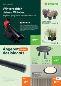 team Baumarkt Prospekt - Angebot des Monats - Wir vergolden deinen Oktober - Seite 1