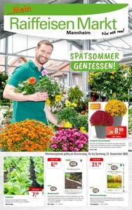Raiffeisen Mannheim Prospekt - Mein Raiffeisen Markt Mannheim