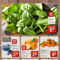 nahkauf Prospekt Seite 3