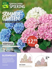 Garten Center Spiering Prospekt - Angebote ab 04.06.