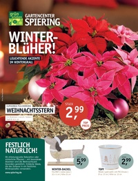 Garten Center Spiering Prospekt - Angebote ab 04.11.