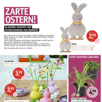 Garten Center Spiering Prospekt Seite 14