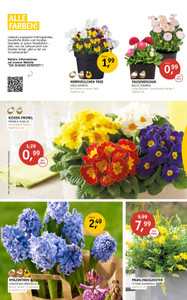 Garten Center Spiering Prospekt - Angebote ab 03.03.