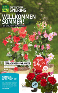 Garten Center Spiering Prospekt - Angebote ab 05.05.