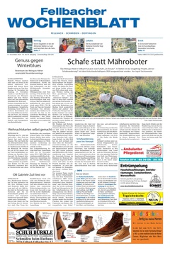 Stuttgarter Zeitung Prospekt - Fellbacher Wochen KW 46