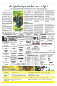 Stuttgarter Zeitung Prospekt - FeWo KW38